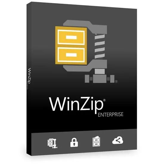 License enterprise. Винзип. WINZIP одежда. WINZIP 26 Pro Single-user.