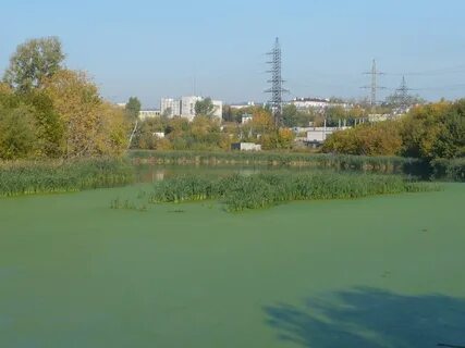 Прежнее русло
