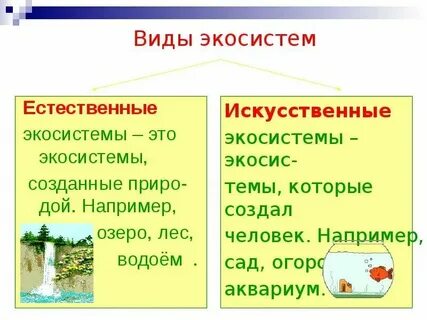 Естественные искусственные и пресные