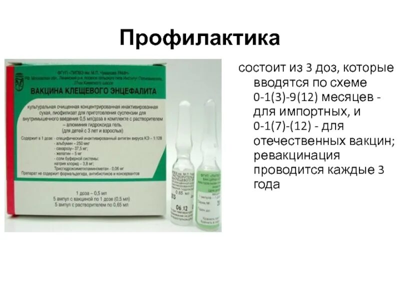 Сделать прививку от клещевого энцефалита спб. Клещевой энцефалит экстренная вакцинация. Вакцина против клещевого энцефалита Чумакова. Схема профилактики клещевого энцефалита. Схема введения прививки от клеща.