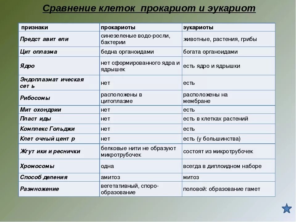 Дайте обозначение прокариоты и эукариоты