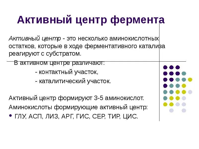 Ферменты формируются. Строение активного центра ферментов. В состав активного центра фермента входят. Функция активного центра фермента. Активный центр ферментов, состав, формирование, роль.