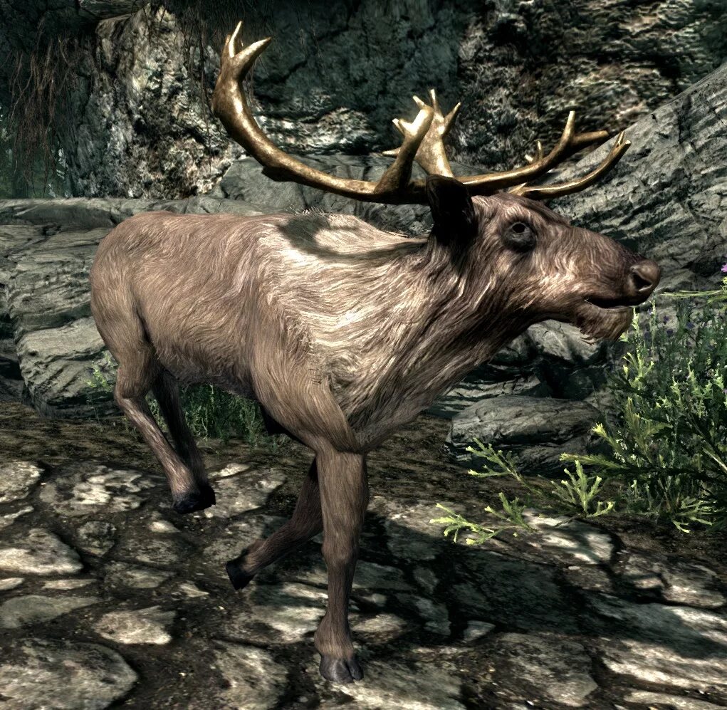 Animals skyrim. Долинный олень скайрим. Белохвостый олень скайрим се. Олень скайрим. Животные Скайрима.