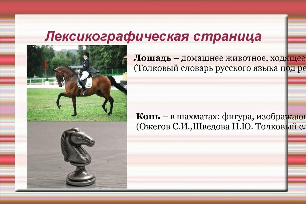 Предложения с словом конь. Лошадь для презентации. Конь предложение. Придумать предложение про лошадь. Конь слова.