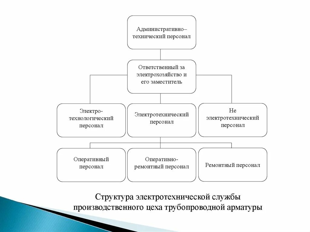 Административно техническая служба