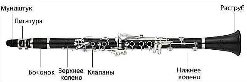Строение кларнета схема. Устройство кларнета схема. Составные части кларнета. Строение гобоя схема.