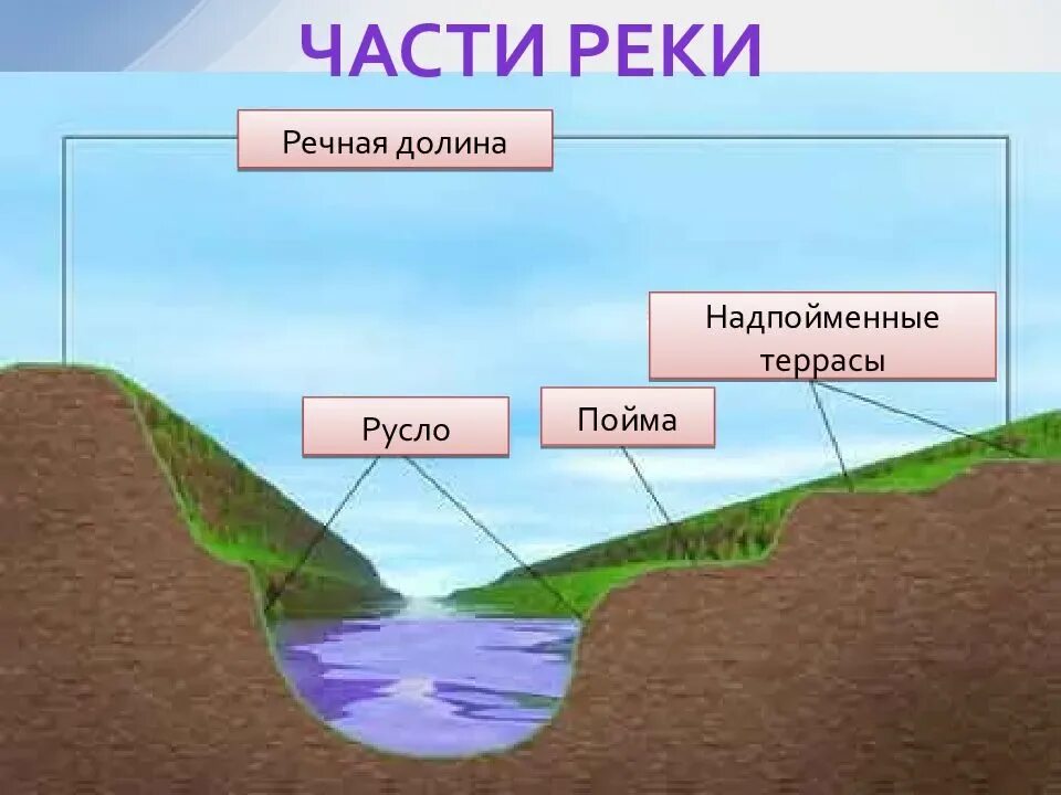 Русло Пойма Речная Долина. Речная Долина русло Пойма надпойменные. Русло реки Пойма Речная Долина. Русло Пойма терраса Речная Долина. Формы стока