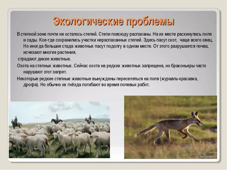Экологические проблемы лесостепной зоны. Экологическая ситуация степи. Экологические проблемы лесостепной зоны. Экологические проблемы степной зоны. Экологические угрозы лесостепи.