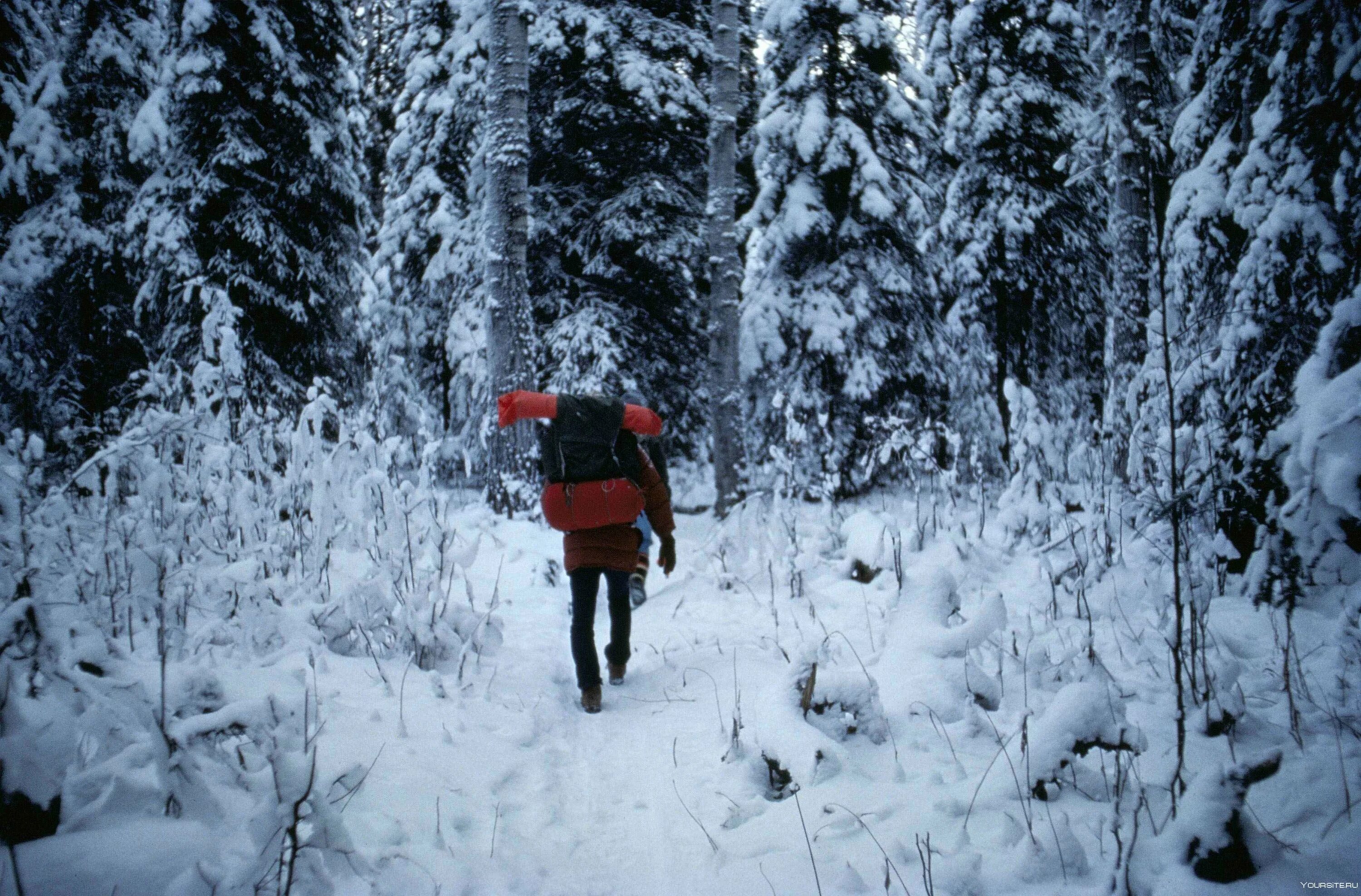 Человек в зимнем лесу. Поход в лес зимой. Зимний поход. Поход зима.