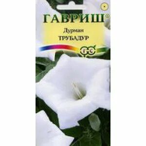 Дурман древовидный сиреневый махровый. Дурман семена цветов. Дурман древовидный сиреневый махровый. Дурман цветок семена. Дурман семена цветов.