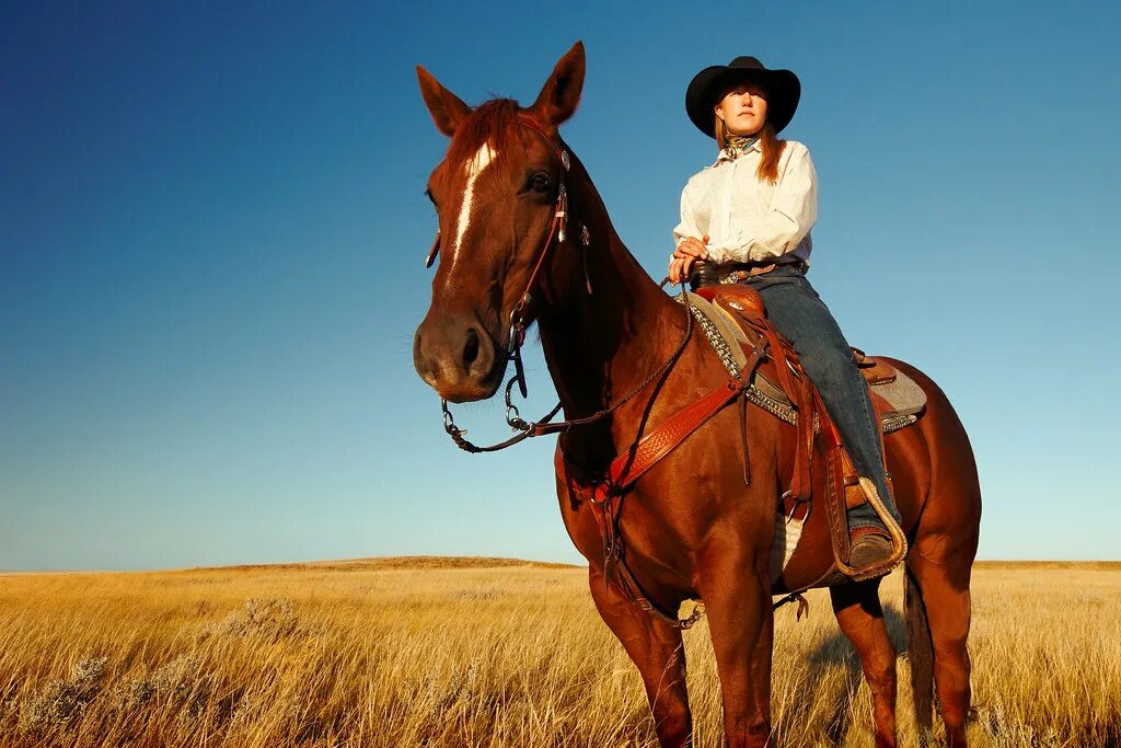 Country and western. Ковгерл дикого Запада. Девушка ковбой на лошади. Ковбой на коне. Ковбойский конь.