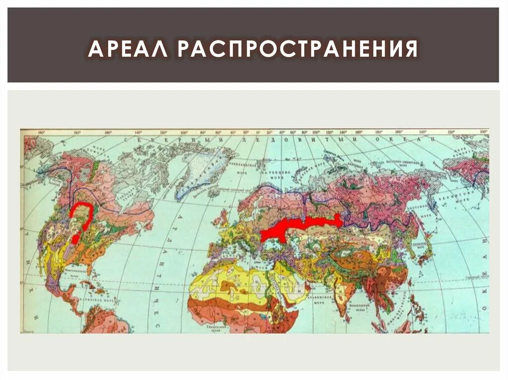 Ареалы распространения черноземов