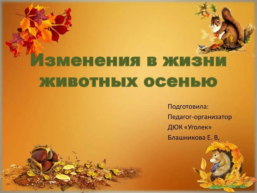 Жизнь животных осенью. Сезонные изменения у животных. Осенние изменения в жизни животных. Изменения животных осенью. Жизнь животных осенью.