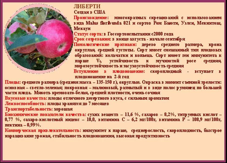 Сорт яблок либерти Фитостудия-63.ру