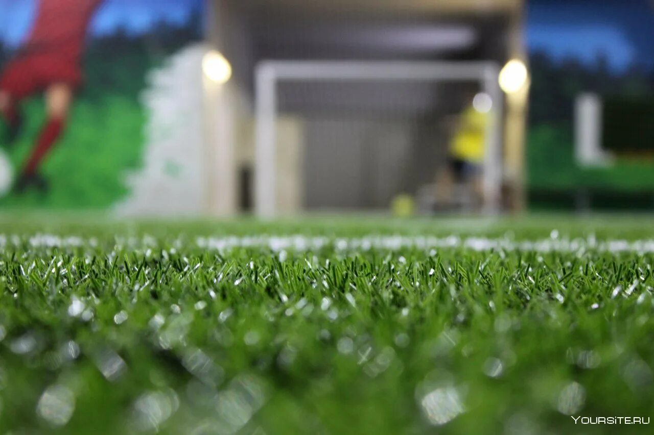 Футбольный газон. Газонная трава футбольное поле. Газон на футбольном поле. Футбольное поле. Футбольное поле газон.