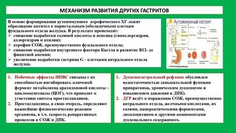 Анализ на париетальные клетки