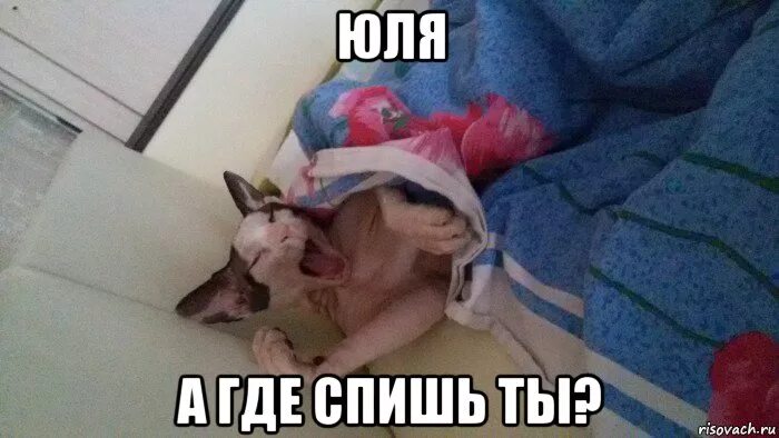 Юля проснись. Юля просыпайся. юлька сонная.