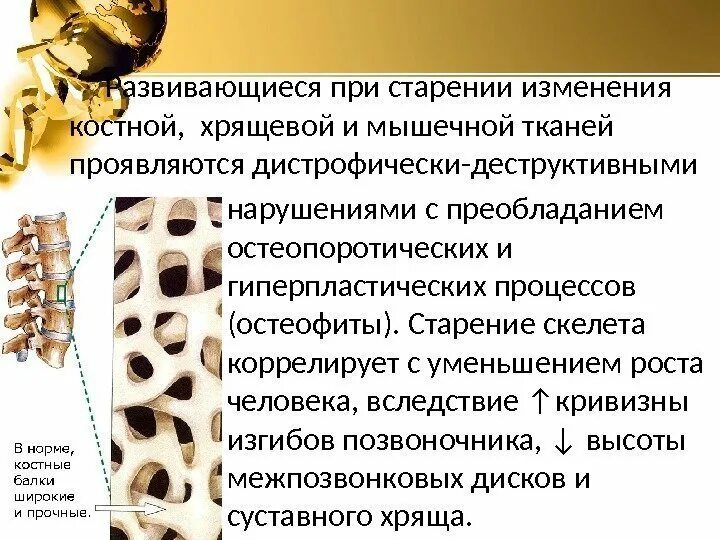 Изменение скелета. Изменение скелета