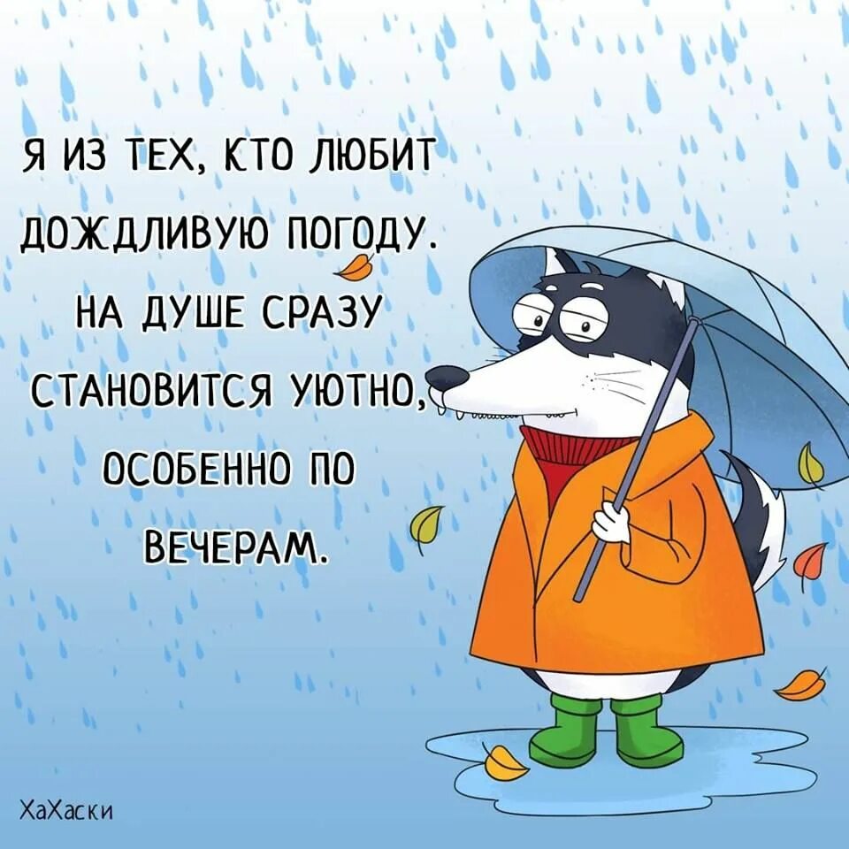 Смешные фразы про дождь. Смешные цитаты про дождь. Смешные цитаты про погоду. Плохая погода. Погоду про погоду погода плохая погода