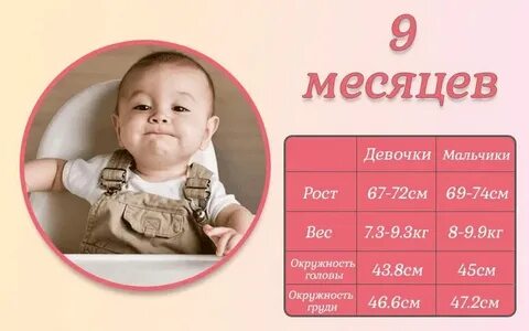 Вес ребенка в 2 9 месяцев