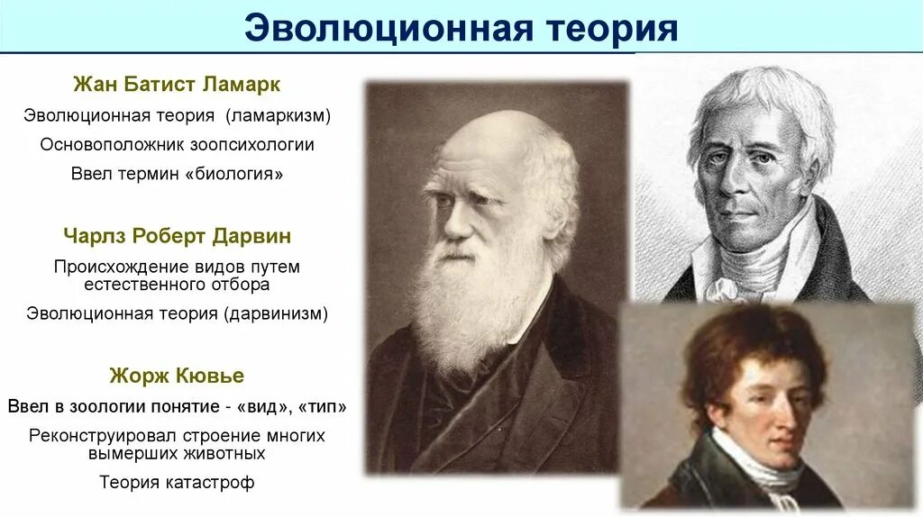 1 эволюционная теория ламарка. Теория эволюции жана Батиста. Теория жана Батиста Ламарка.