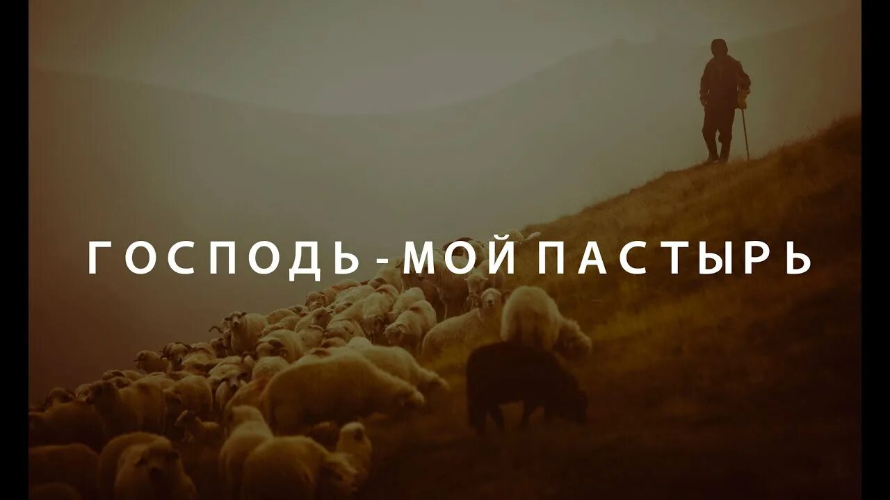 Господь Пастырь мой. «Господь – Пастырь мой» (ПС. 22:1). Пастырь мой. Господь Пастырь мой картинки. Песня господа купите