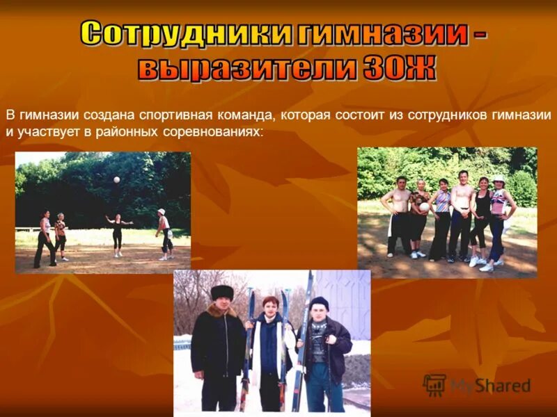 Создание гимназии. Создание гимназии