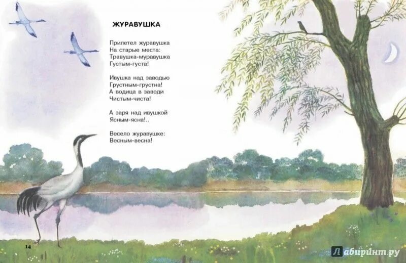 Зарицкая ноты. Песня журавушка. Песня журавушка. Зарицкая журавушка ноты. Стихотворение журавушка благинина.