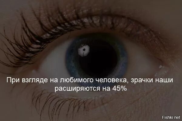 Почему увеличивается глаза. Когда расширяются зрачки. Когда у человека расширяются зрачки. Зрачки всегда расширены. Зрачок человека расширяется.