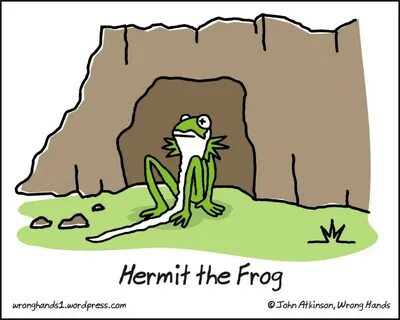 Hermit the frog