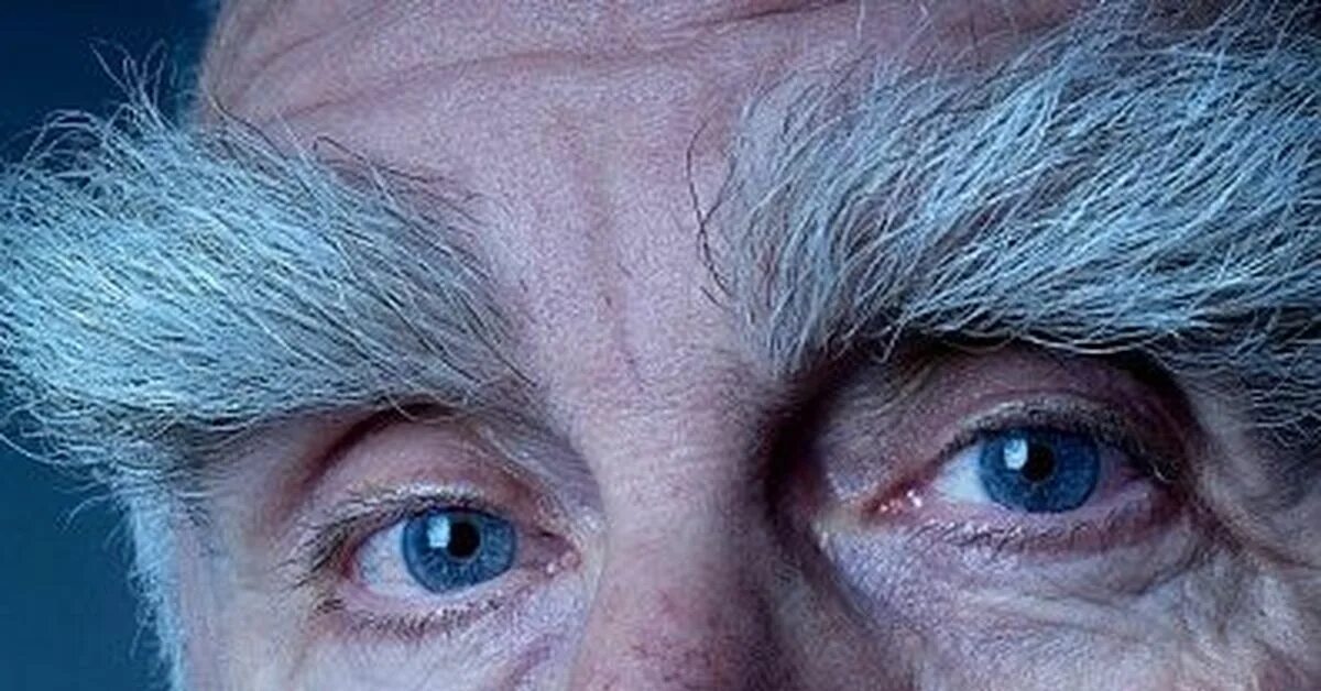 Types of eyebrows по английскому. Длинные брови. Types of eyebrows. My grandpa has very bushy eyebrows lips. Package.