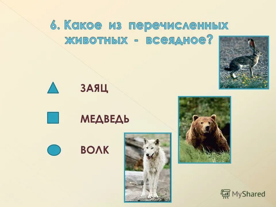 В каком ряду перечислены только растительноядные животные. Животные питаются растениями. В каком ряду перечислены только растительноядные животные. Растительнлядныживотные. В каком ряду перечислены только растительноядные животные.