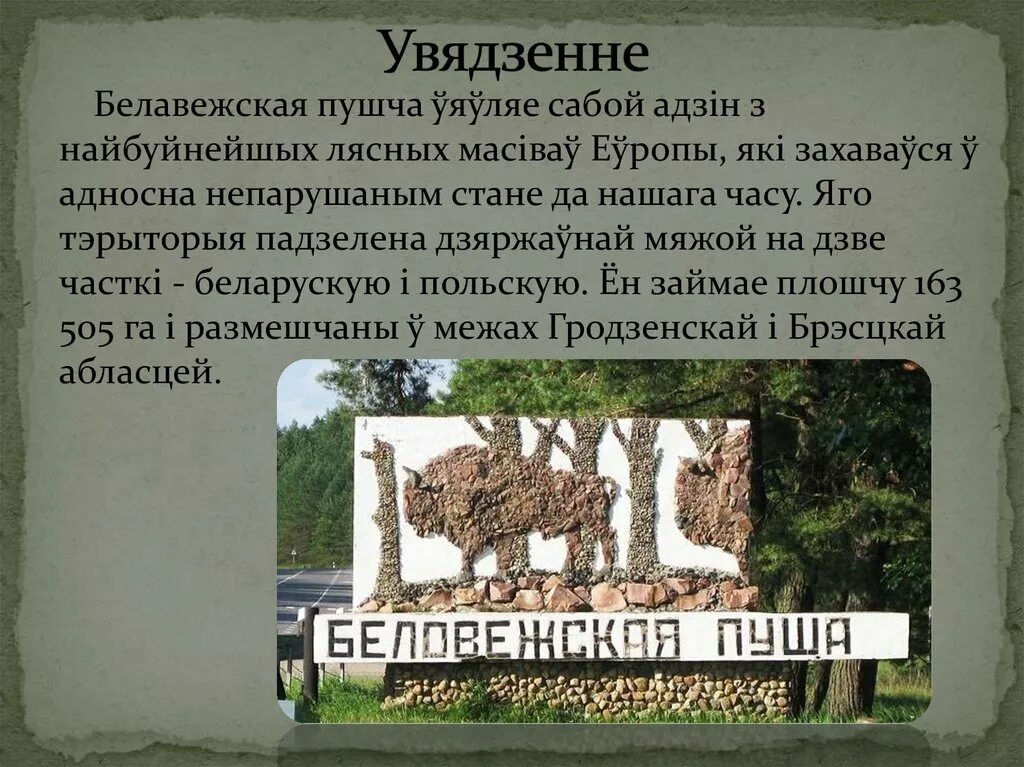 Пуще значение слова. Беловежская пуща брошюра. беловежская пуща интересные факты. сообщение о беловежской пуще. презентация беловежская пуща на английском языке.