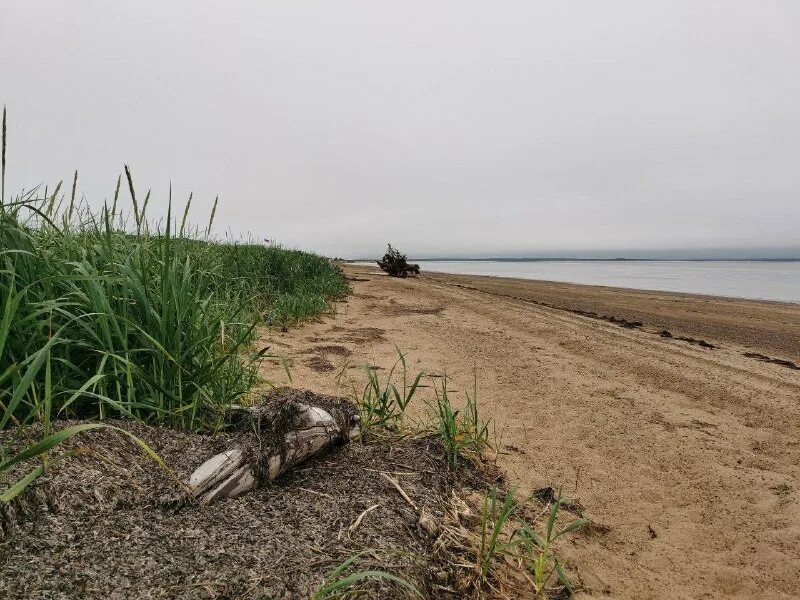 Цунами на сахалине 2023. Цунами на сахалине 2023. Цунами на сахалине 2023. Цунами на сахалине 2023. Цунами на сахалине 2023.