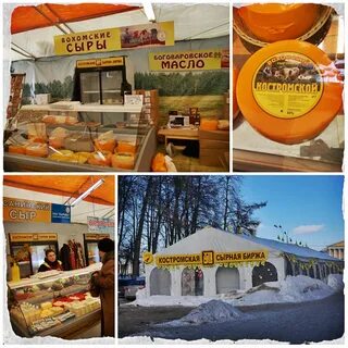 Кострома сырная отзывы