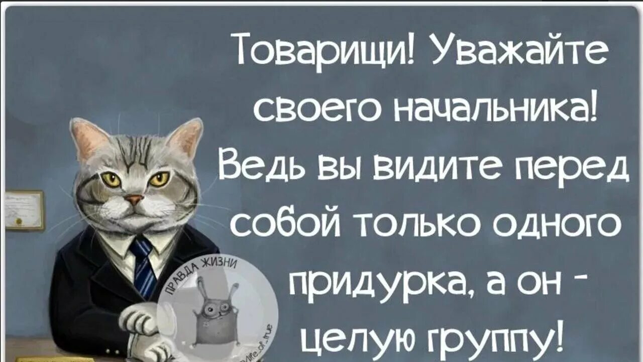 Директор сказал работать. Цитаты про начал ников. Цитаты про начальника. Высказывания про начальство. Товарищи уважайте своего начальника.