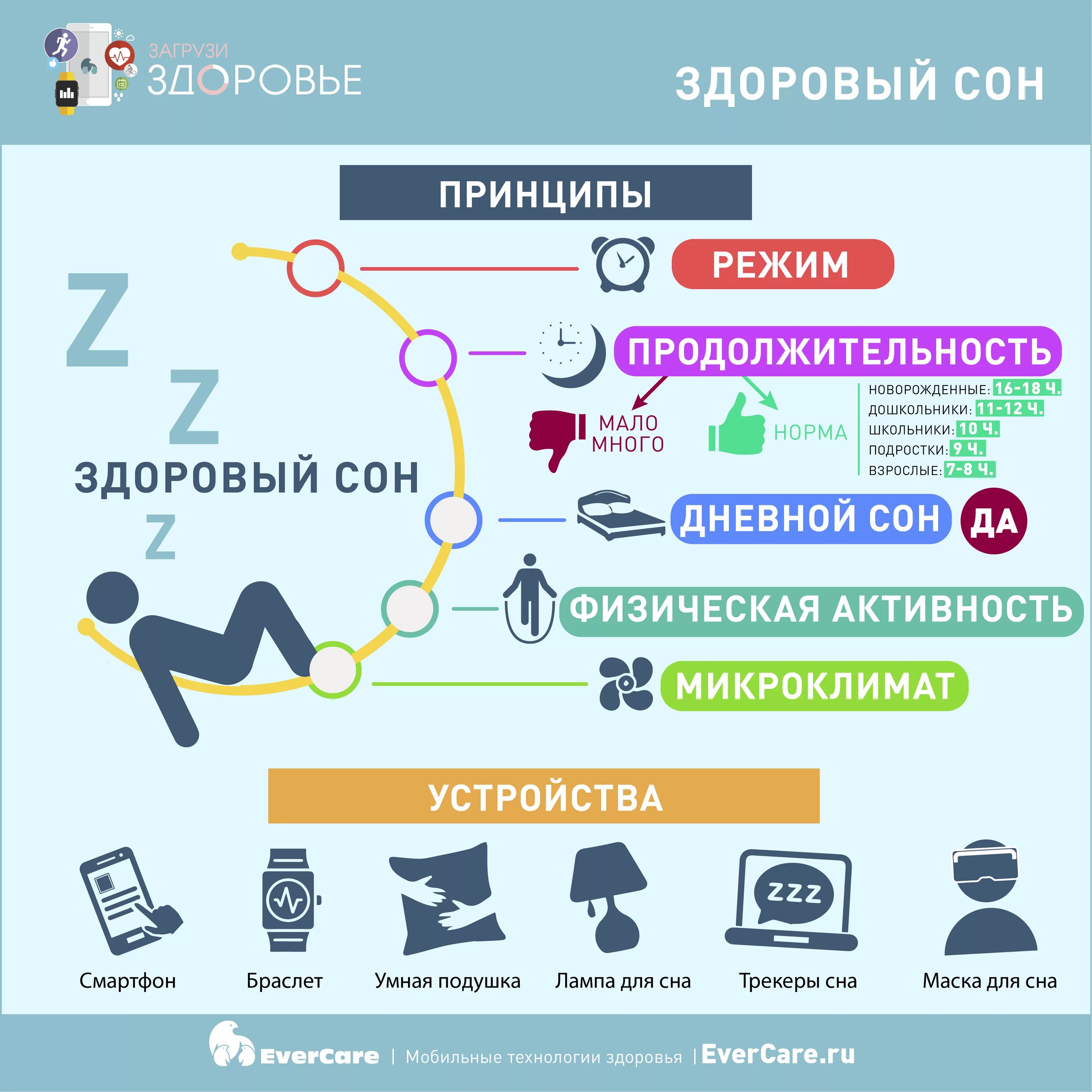 Спать бывшим здоровья. Инфографика сон. Здоровый сон инфографика. Правильный сон инфографика. Принципы здорового сна.