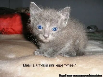 Глупая мама какая я глупая