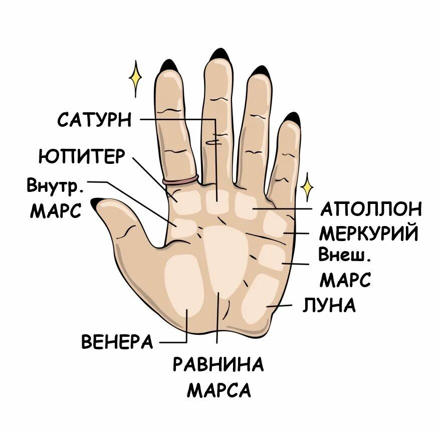 Холм Сатурна хиромантия. Линия Сатурна и Меркурия на ладони. Хиромантия бугор Сатурна. Холм Меркурия хиромантия.