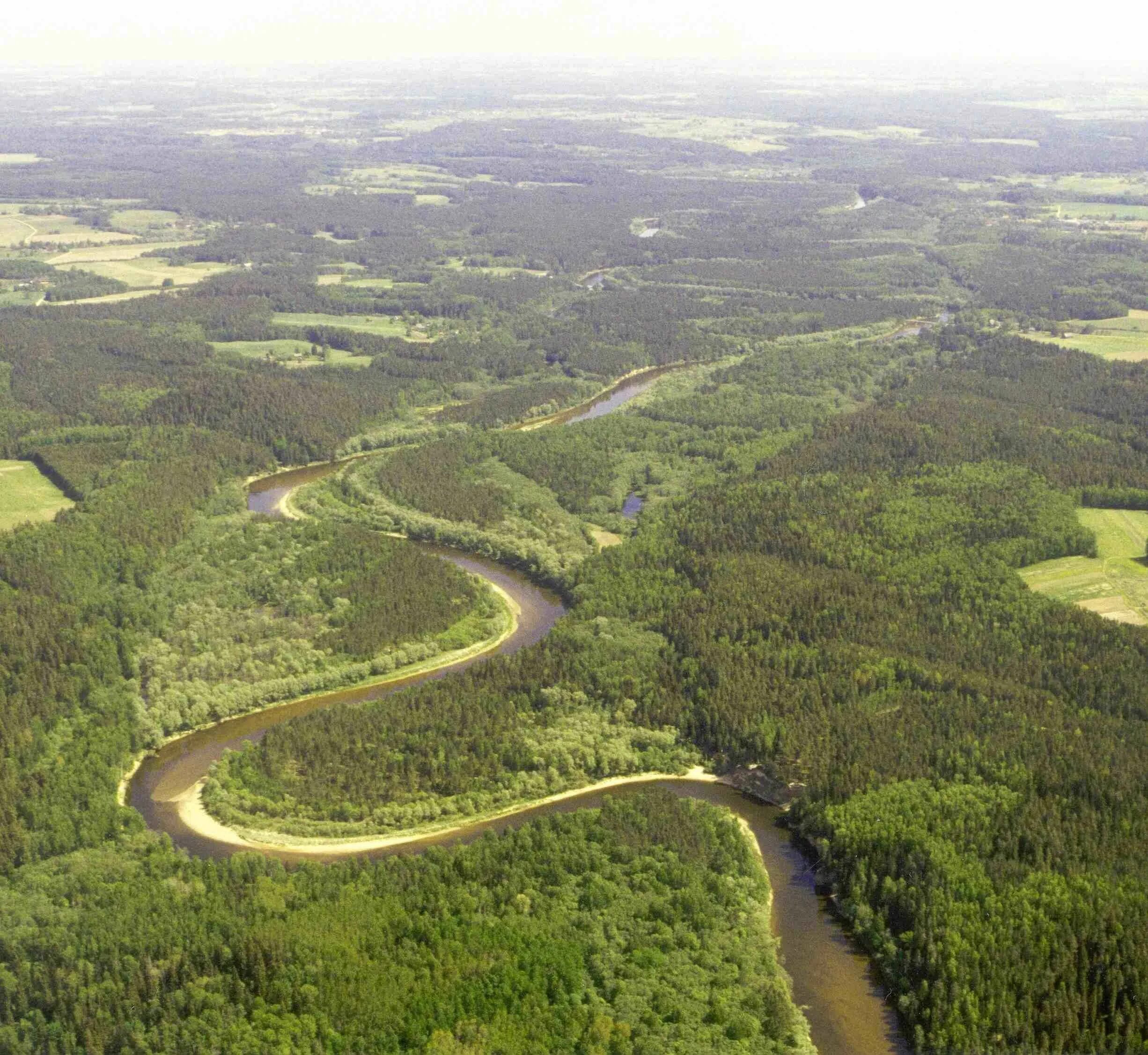 Видовое разнообразие реки. Гауйский национальный парк в Латвии. Река Гауя в Латвии. Национальный парк Сигулда Латвия. Гауя парк Рига.