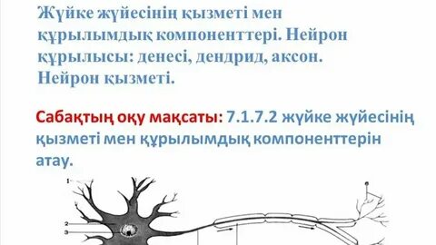 Порно: сексуалды ананы былғады - vta-import.ru сайтында
