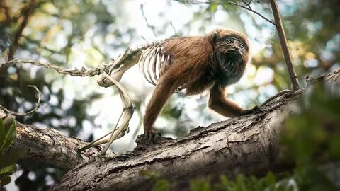 Destruction of wildlife