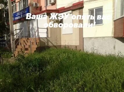 Жэу центральное