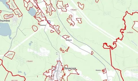 Публичная кадастровая карта выборгский ленинградской