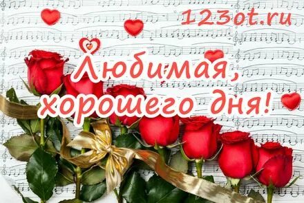 Добрый день для любимой женщины. Добрый день для любимой женщины