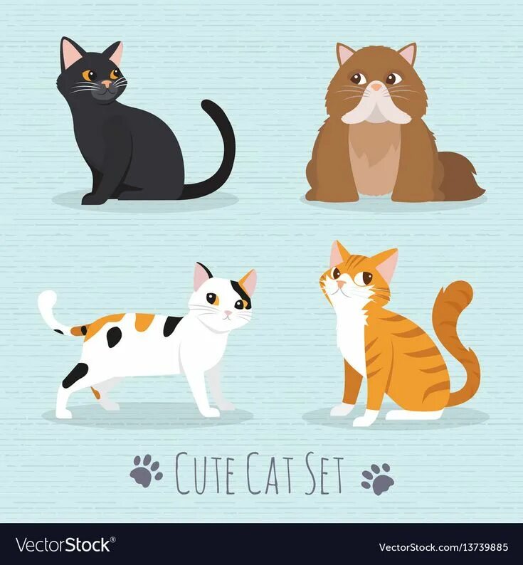 Cat set