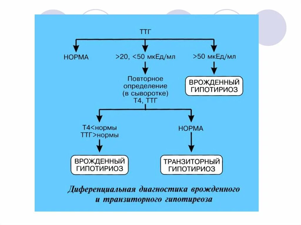 Алгоритм диагностики гипотиреоза у детей. Гипотиреоз патогенез. Алгоритм диагностики гипотиреоза схема. Врожденный гипотиреоз схема. Гипотиреоз лабораторно