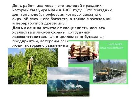 День в лесу текст