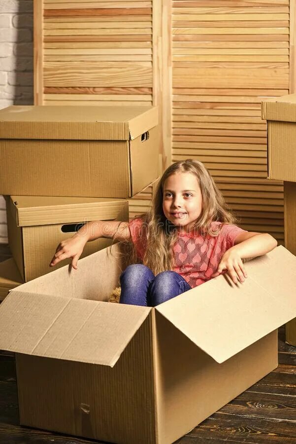 бездомные щенки в коробке. коробка бомжа. бомж в картонной коробке. дом коробка на улице. влажные короба.