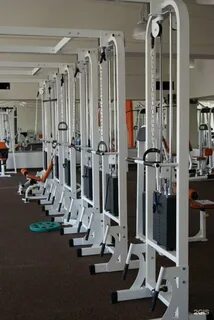 Дорожник тюмень спортивно оздоровительный